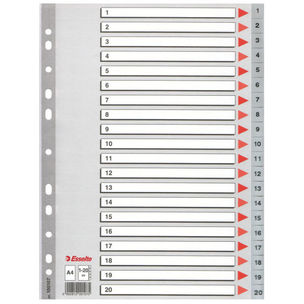 INDEX PLASTIC A4 ESSELTE 1-20