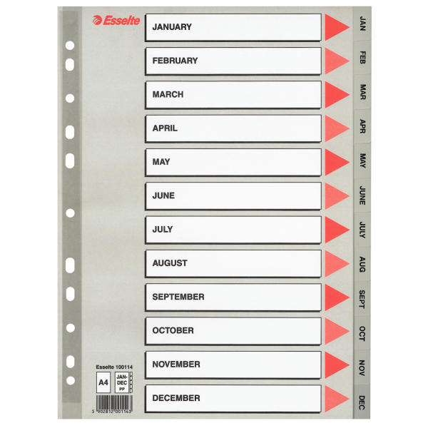 INDEX PLASTIC A4 ESSELTE IANUARIE-DECEMBRIE