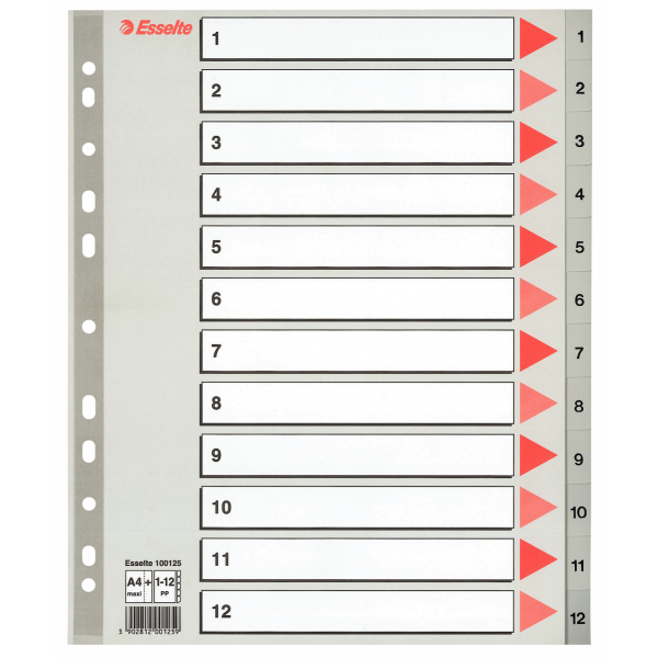 INDEX PLASTIC A4 ESSELTE MAXI 1-12