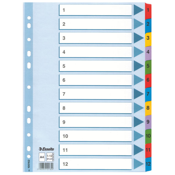 INDEX CARTON MYLAR 1-12 A4 ESSELTE