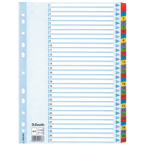 INDEX CARTON MYLAR 1-31 A4 ESSELTE