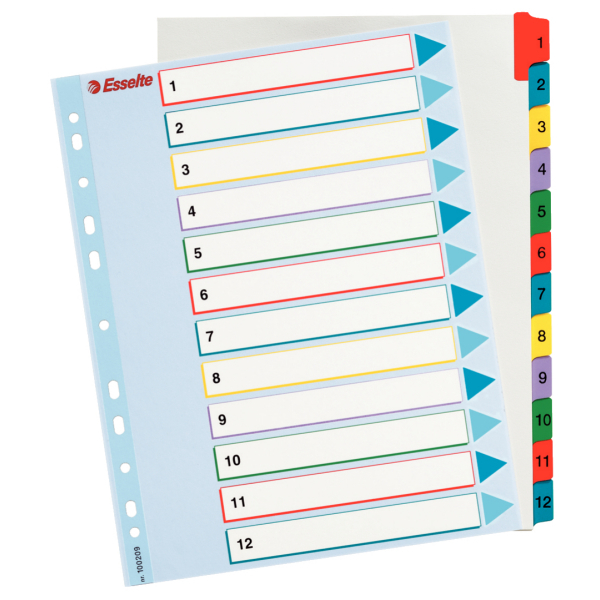 INDEX REINSCRIPTIBIL A4 1-12 ESSELTE