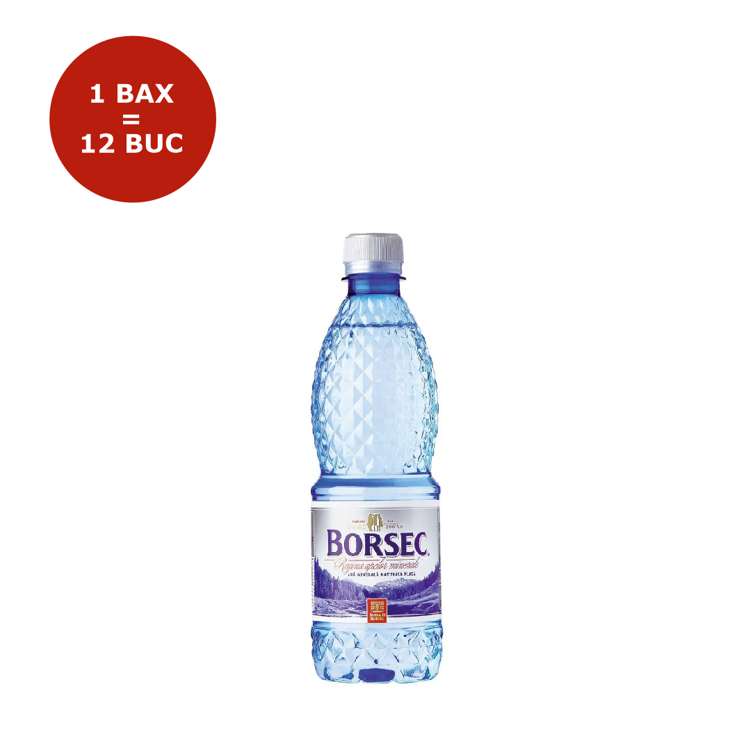 APA PLATA PET 0.5L BORSEC 12 BUCATI/BAX