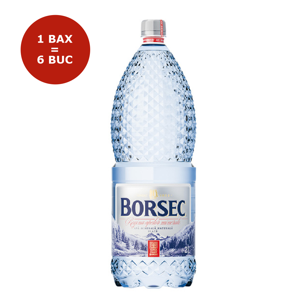 APA PLATA PET 2L BORSEC 6 BUCATI/BAX