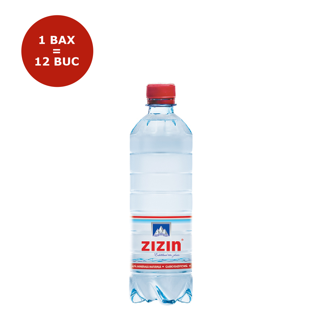 APA PLATA PET 0.5L ZIZIN 12 BUCATI/BAX