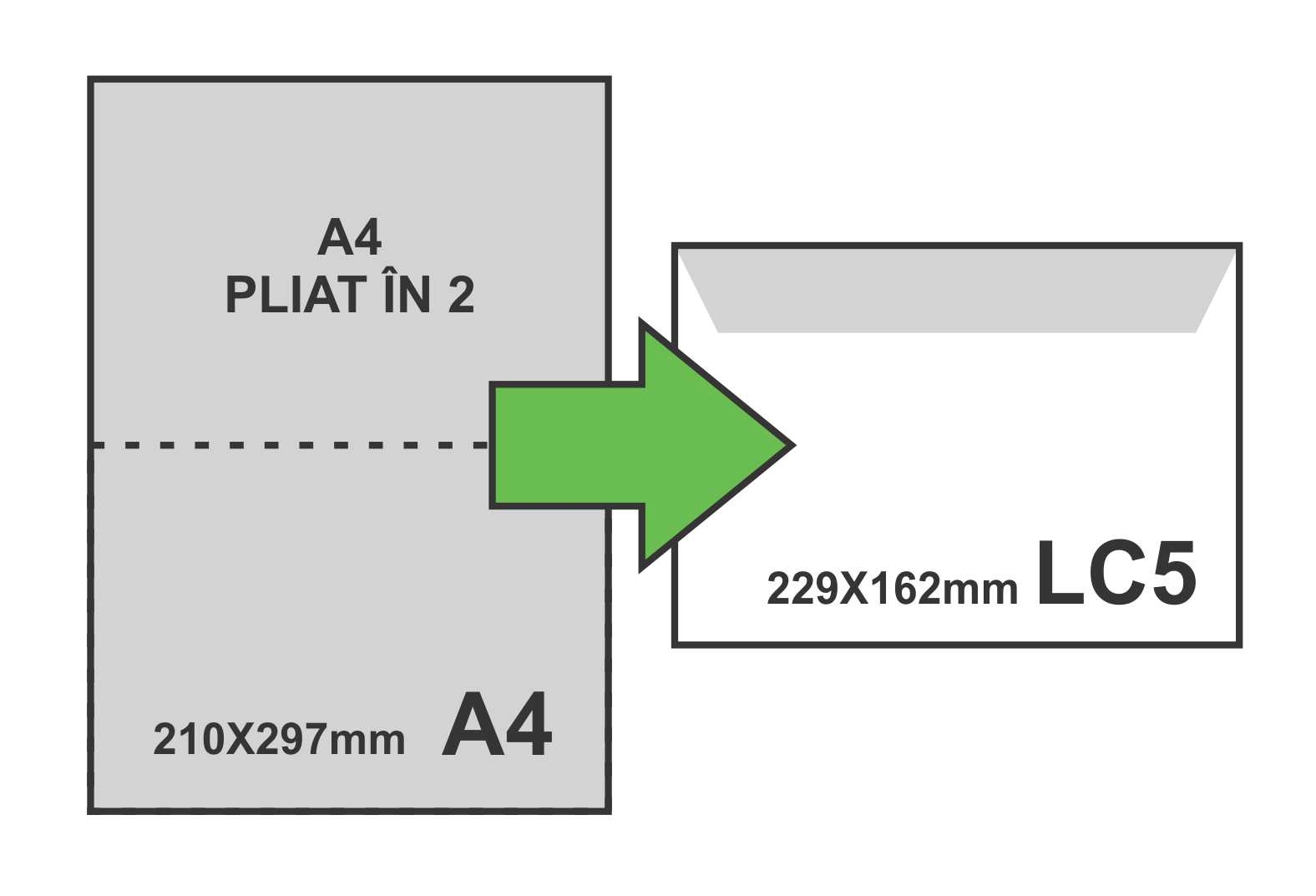 PLIC LC5 ALB SILICONIC