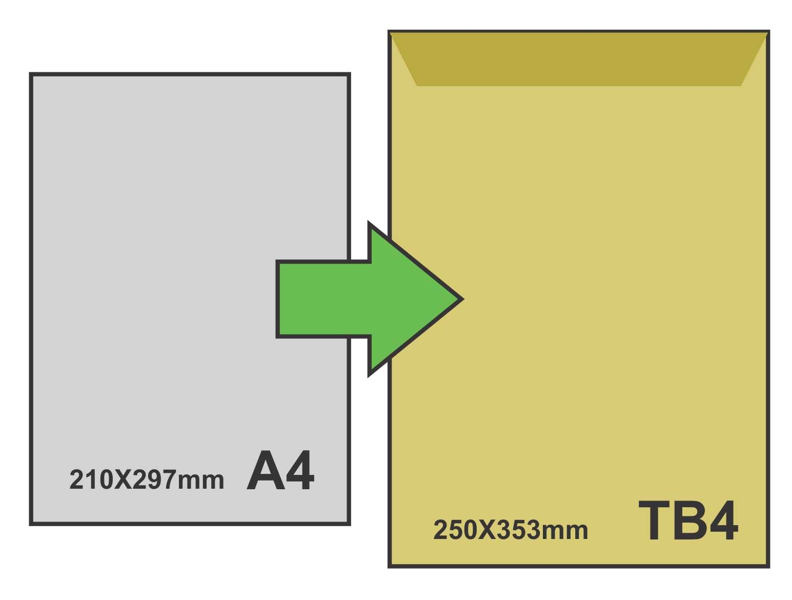 PLIC TB4 KRAFT SILICONIC