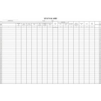 STAT SALARII A3 F 100COLI